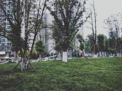 -龙头寺公园
