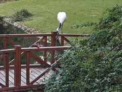 -西郊宾馆·1921餐厅