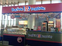 -谢列梅捷沃国际机场