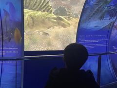 -房山世界地质公园博物馆