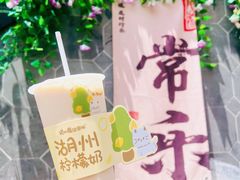 柠檬奶-猫的魔法密林(衣裳街店)