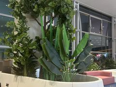 -广州白云国际机场-T2航站楼