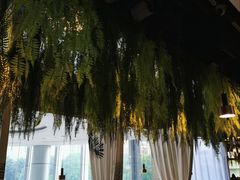 -三个椰子·现砍椰子鸡(金源CBD店)