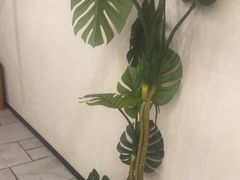 -三猫黑鱼花(南大店)