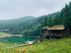 -武陵山森林公园