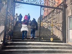 -上海佘山国家森林公园西佘山园