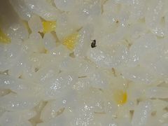 -佘记全家福芋儿鸡(向阳街总店)