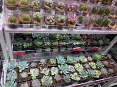 -KKV(深圳宏发大仟里店)