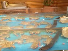 -盛宴自助餐厅(运达喜来登店)