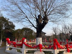 -东台西溪天仙缘景区