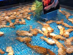 -驻海渔市(置信店)