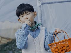 -金山农民画村-枫泾波兰倒置屋