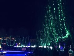 -金城公园