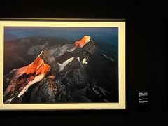 -罗红摄影艺术馆