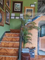 -雲艺刺青·洗纹身