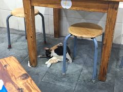 用餐区-雨田饭店(华兴东街店)