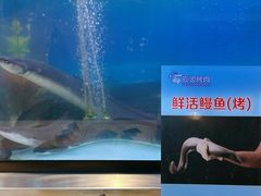 -伍棵煋炭烤自助料理·烤鳗鱼(浦东食品城店)