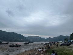 -北岐滩涂