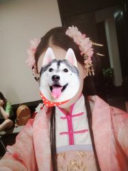 -盘子女人坊古装写真摄影(天津总店)