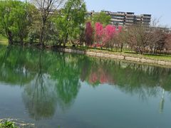 -贵阳市花溪国家城市湿地公园