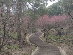 -宁波市保国寺古建筑博物馆