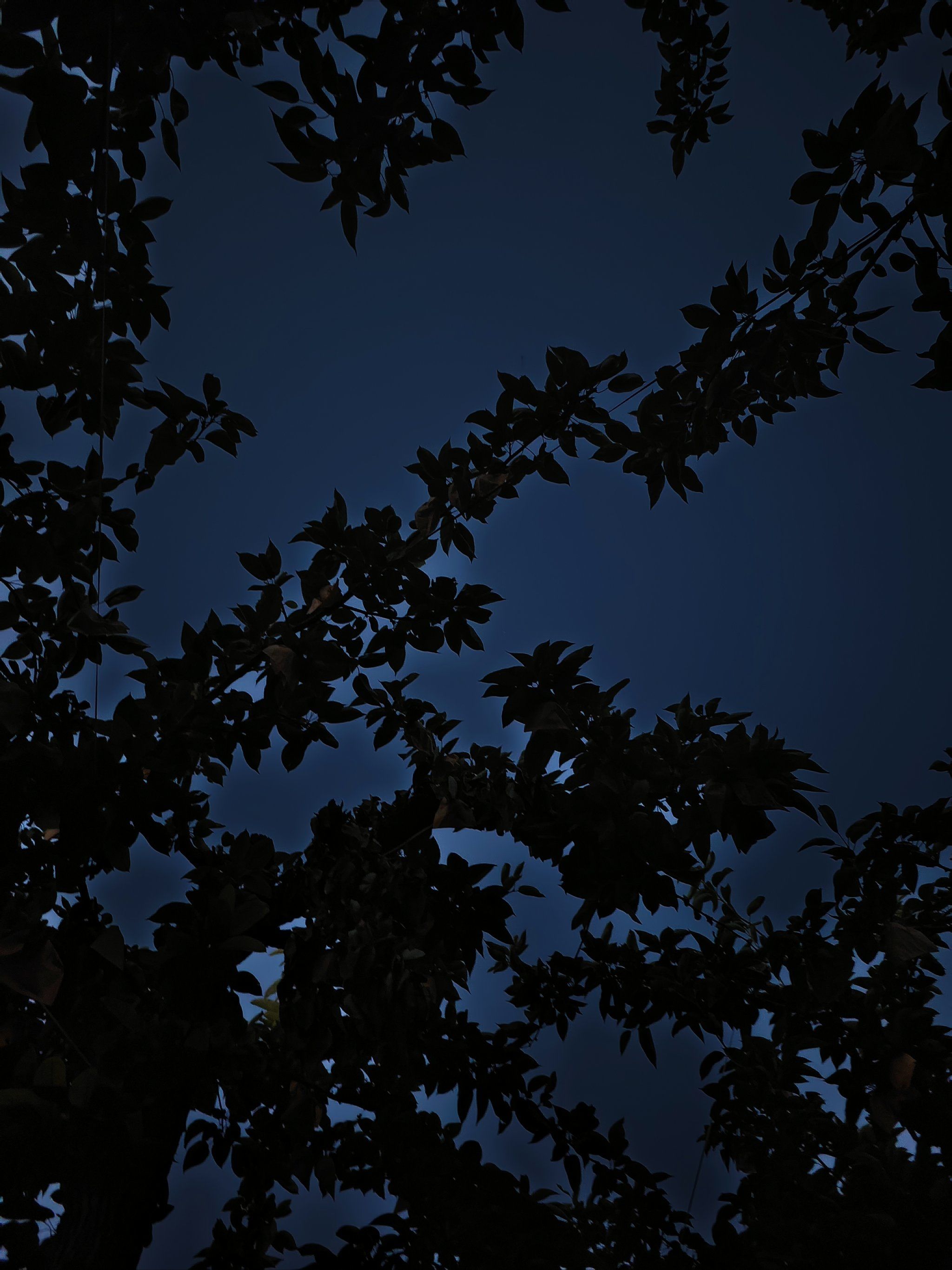 黑夜