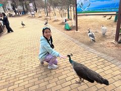 -鄱阳湖国家湿地公园