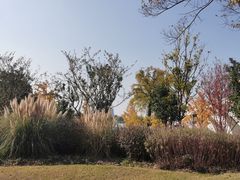 -东方体育中心(地铁站)