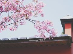 -乌山风景区