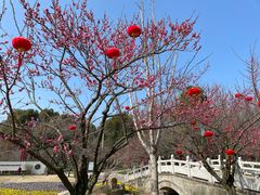 -苏州上方山国家森林公园