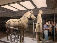 -秦美花卉(天朗·莱茵小城2期店)