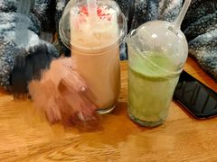 -滚猫咖啡·猫咖·猫友好撸猫(未来城店)
