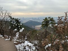 -惠山国家森林公园