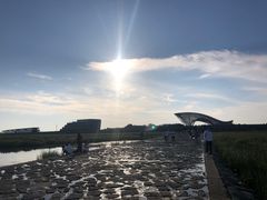 -南汇嘴观海公园