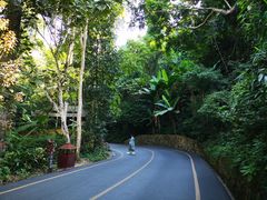 -西双版纳原始森林公园