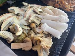 -蘑统田下·野生菌火锅