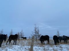 -塞罕坝国家级自然保护区