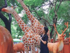 -晓港公园