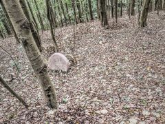 -三门江国家森林公园