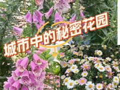 -观音桥步行街