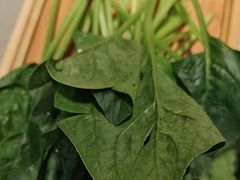 -蝎王府羊蝎子(西直门店)
