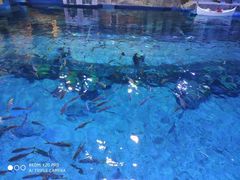 -华夏文旅海洋公园