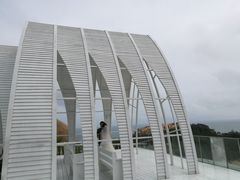 -那琴半岛地质海洋公园