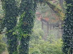-敬亭山风景名胜区