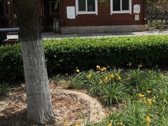 -永定河休闲森林公园