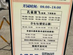 -西双版纳原始森林公园