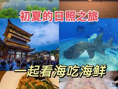 -渡海小渔村.老辈日照菜