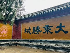 景点-少林寺景区