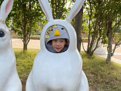 -美的鹭湖探索王国