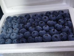 -沈阳市八家子水果批发市场